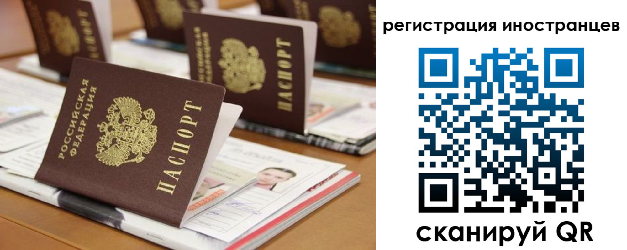 прописка для работы в Павловске
