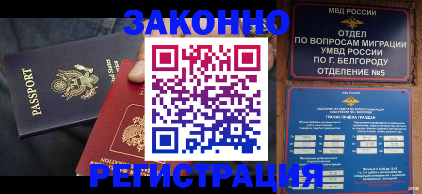 прописка законно в Павловске